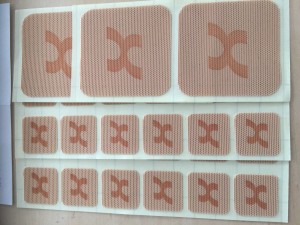 8E41206B-1AC9-44E8-8447-1B348ACDED59